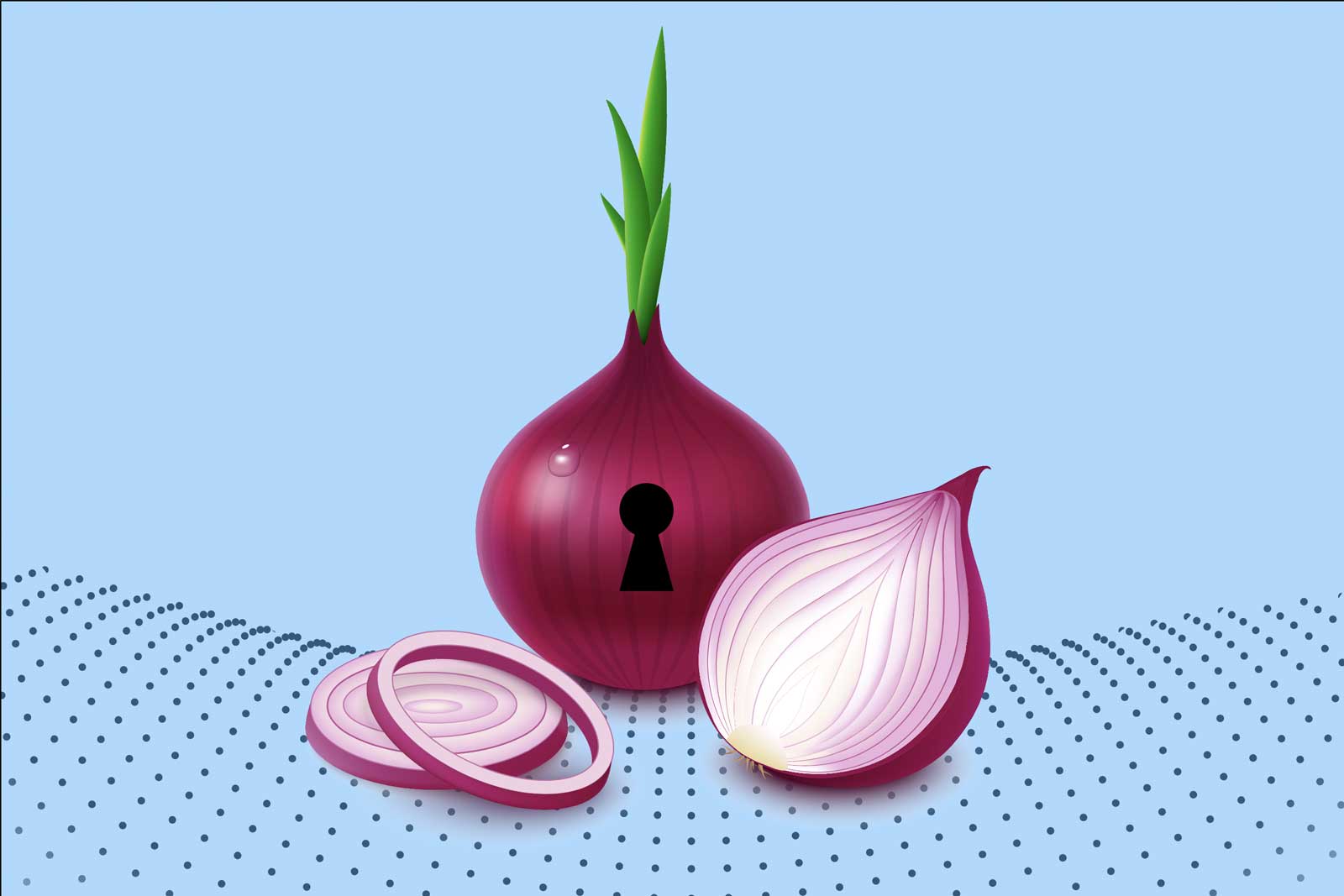 Security Onion Concept